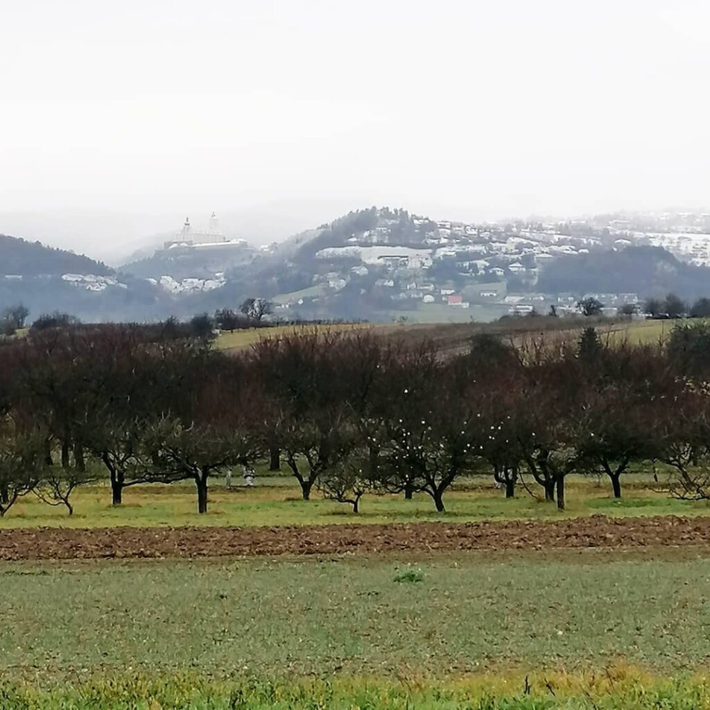 OstSeele - herbstlicher Blick auf die Rosalia