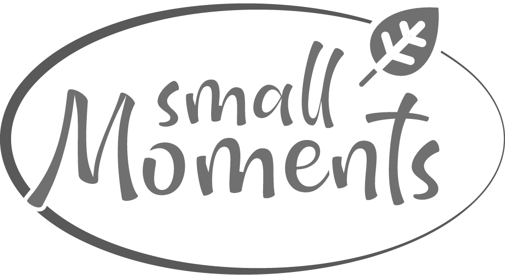 Logo Small Moments