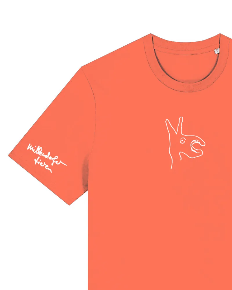 Eselfuchs – Motiv